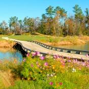 Walking path going over a pond